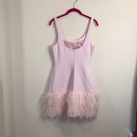 Elizabeth and James New India Feather Dress - Picture 6 of 7